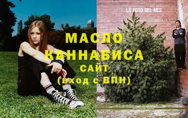сатива Армянск