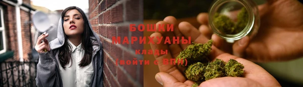 сатива Армянск