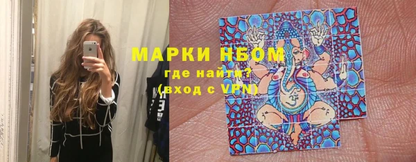 сатива Армянск