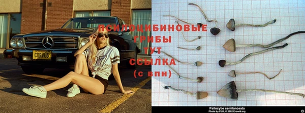 синтетический гашиш Аркадак