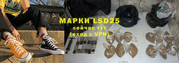 ПСИЛОЦИБИНОВЫЕ ГРИБЫ Рославль
