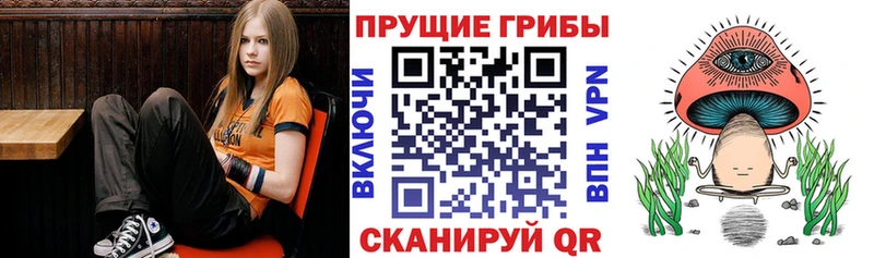 блэк спрут онион  Островной  Псилоцибиновые грибы GOLDEN TEACHER  закладки 
